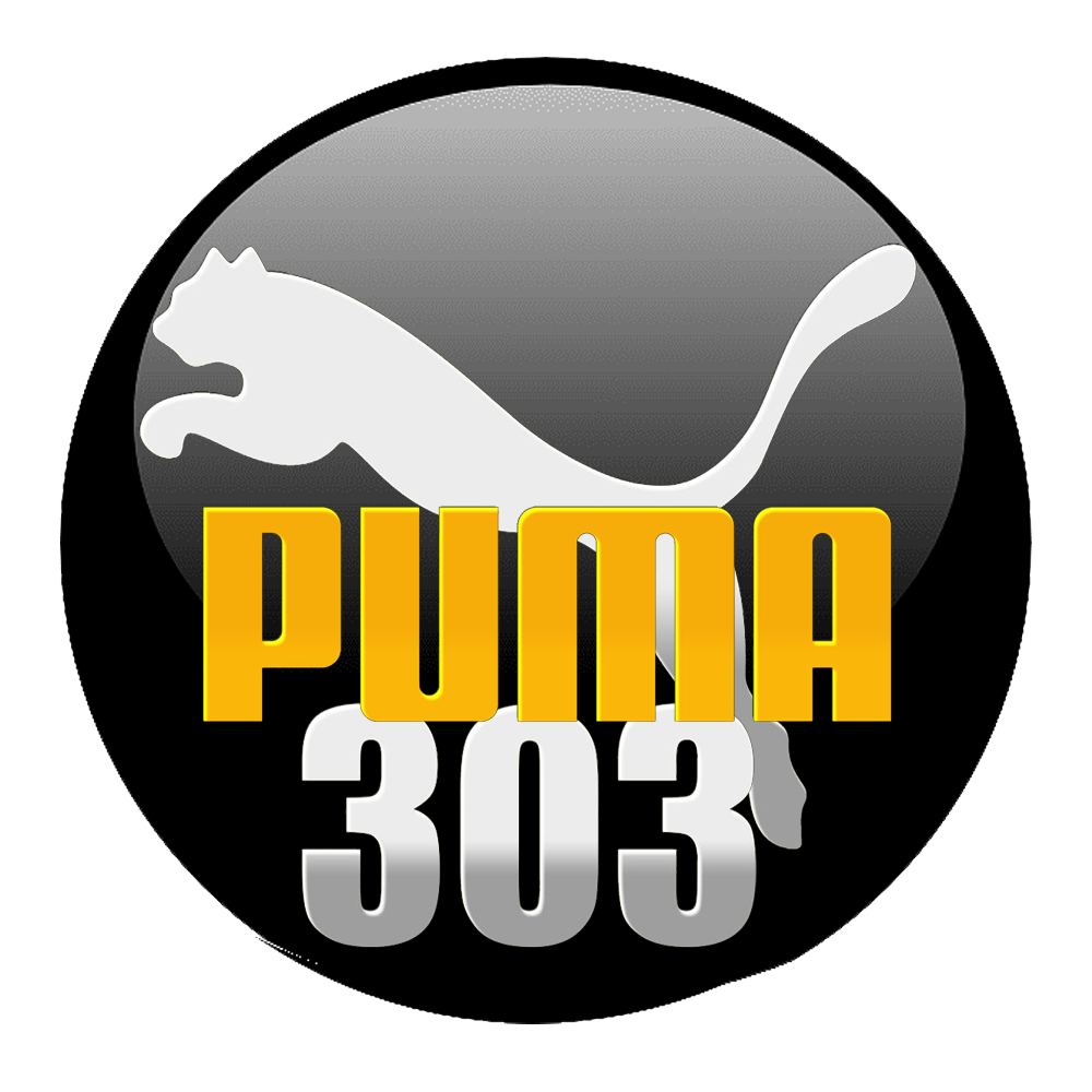 puma303-medan.xyz favicon